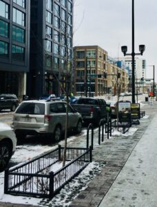 Denver Metal Tree Guards