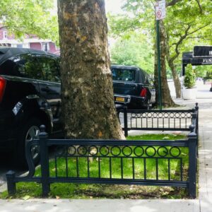 Tree Pit Fencing