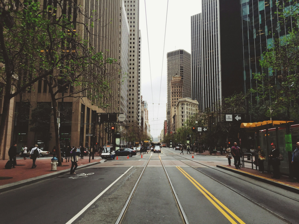 City Tree Landscape