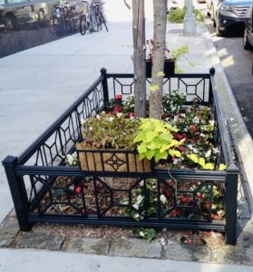 Curb Allure Tree Fencing
