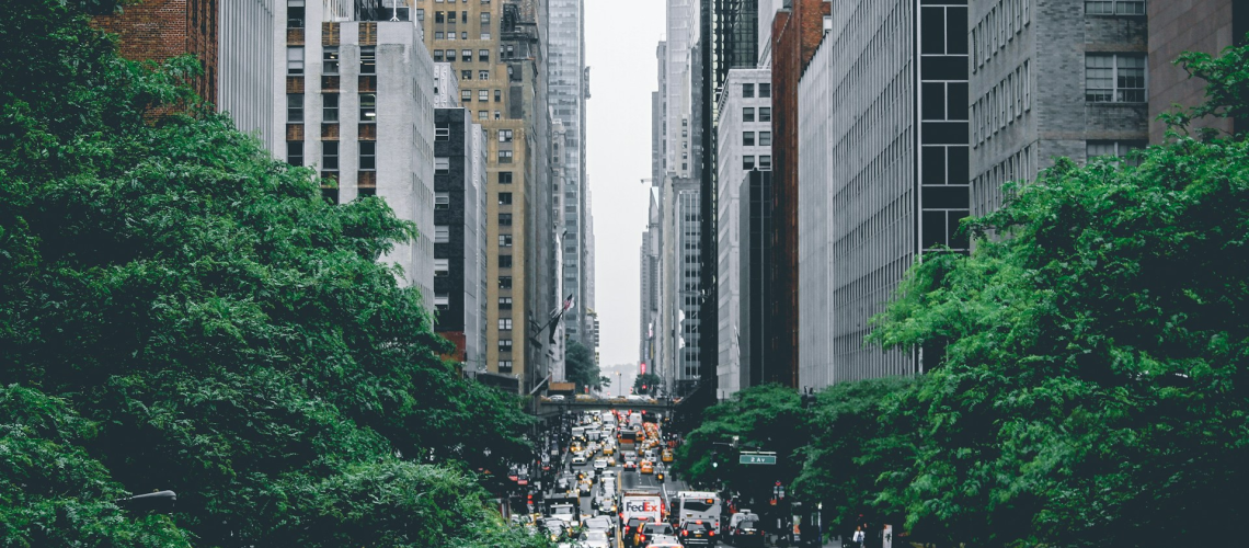 Tree City Landscape